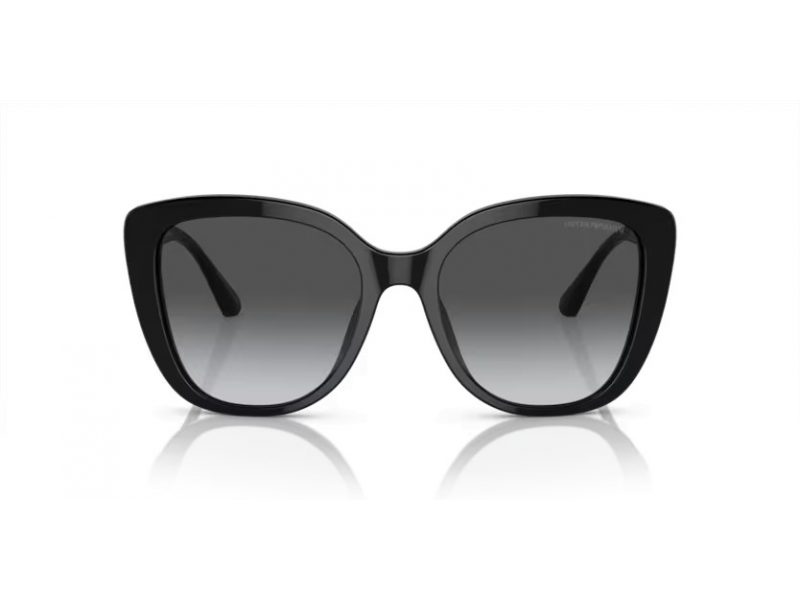 Emporio Armani Aurinkolasit EA 4214U 50178G