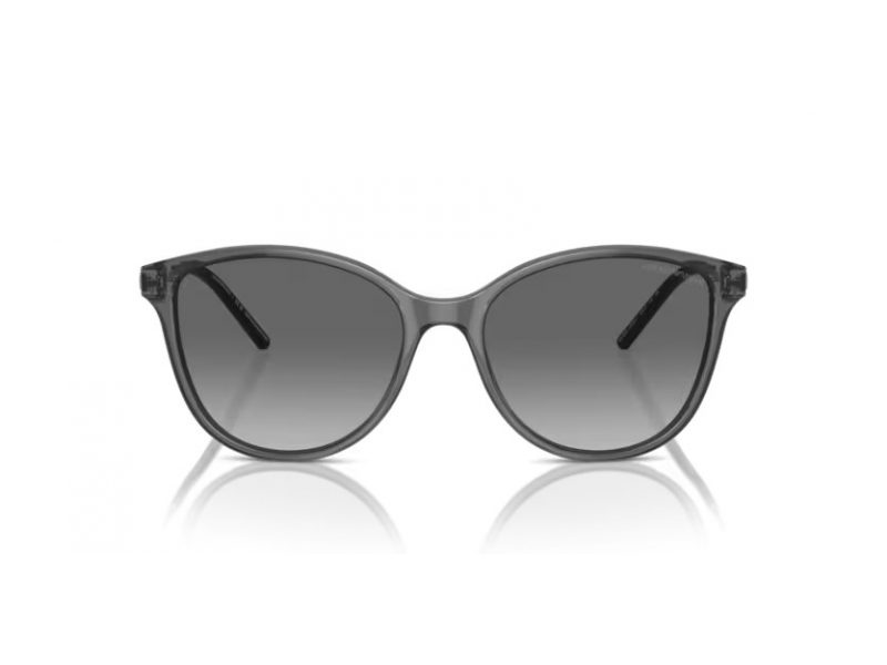 Emporio Armani Aurinkolasit EA 4220 610611