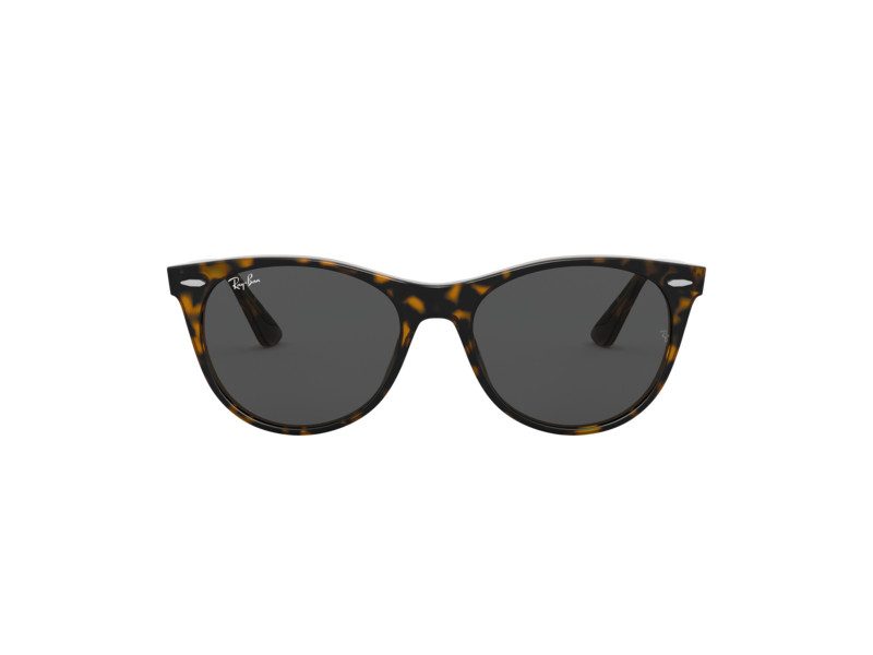 Ray-Ban Wayfarer Ii Aurinkolasit RB 2185 1292/B1