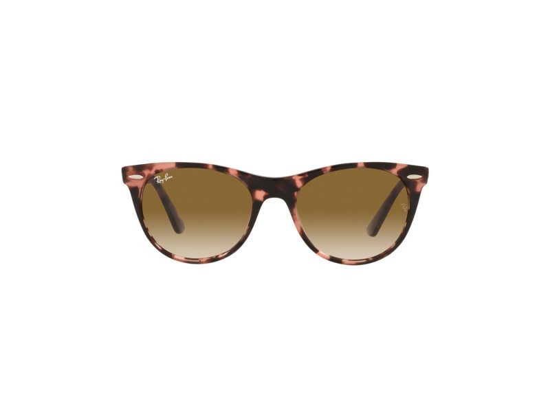 Ray-Ban Wayfarer Ii Aurinkolasit RB 2185 1334/51