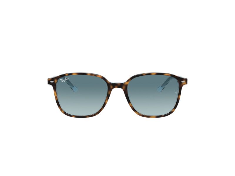 Ray-Ban Leonard Aurinkolasit RB 2193 1316/3M