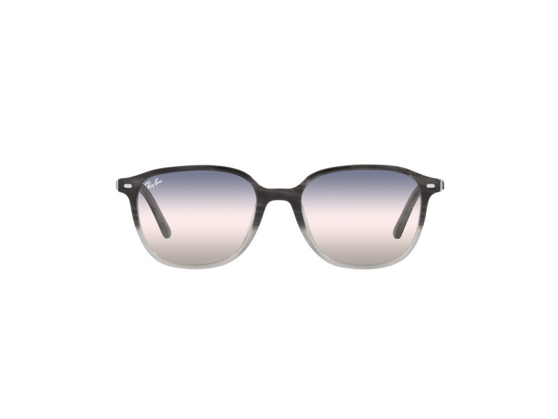 Ray-Ban Leonard Aurinkolasit RB 2193 1326/GE