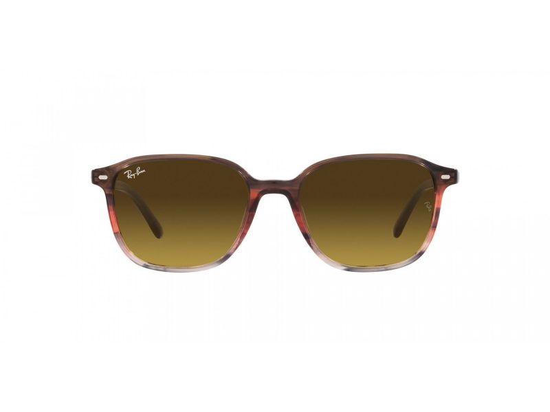 Ray-Ban Leonard Aurinkolasit RB 2193 138085