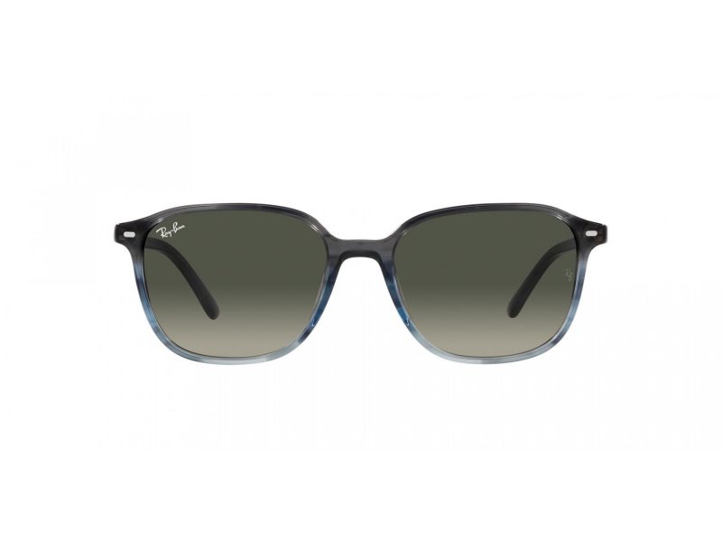 Ray-Ban Leonard Aurinkolasit RB 2193 138171