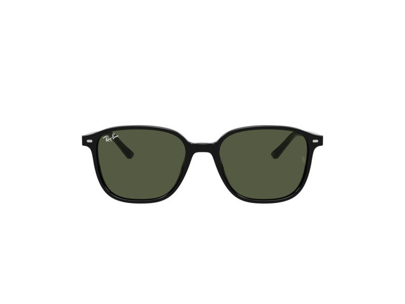 Ray-Ban Leonard Aurinkolasit RB 2193 901/31