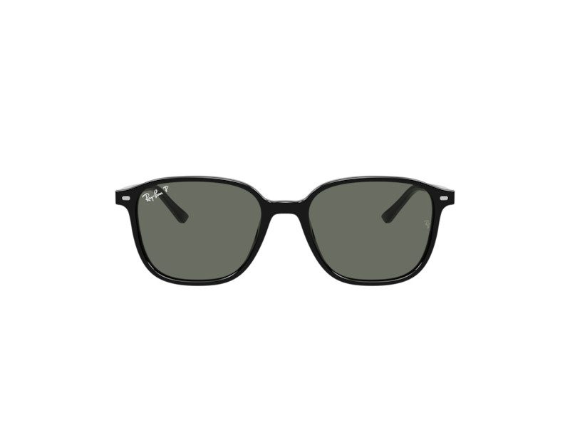 Ray-Ban Leonard Aurinkolasit RB 2193 901/58