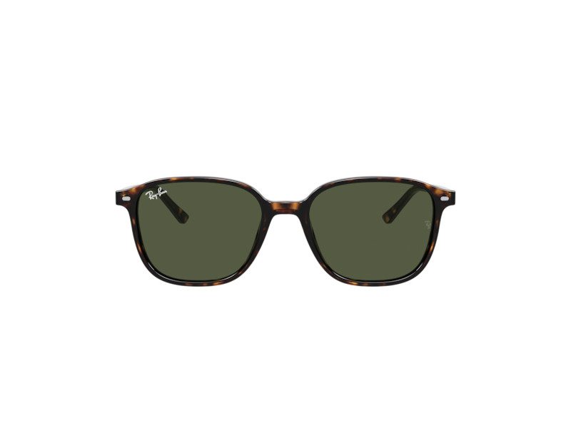 Ray-Ban Leonard Aurinkolasit RB 2193 902/31