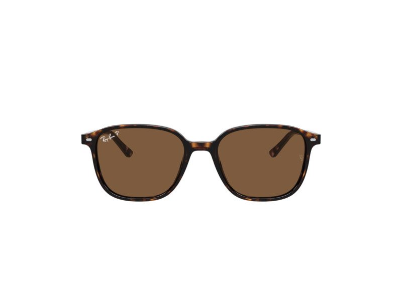 Ray-Ban Leonard Aurinkolasit RB 2193 902/57