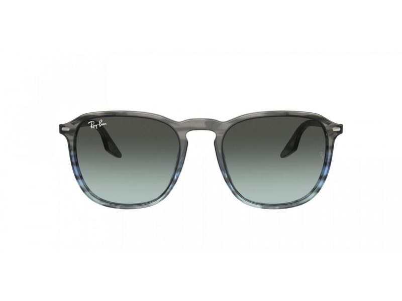 Ray-Ban Aurinkolasit RB 2203 1391GK