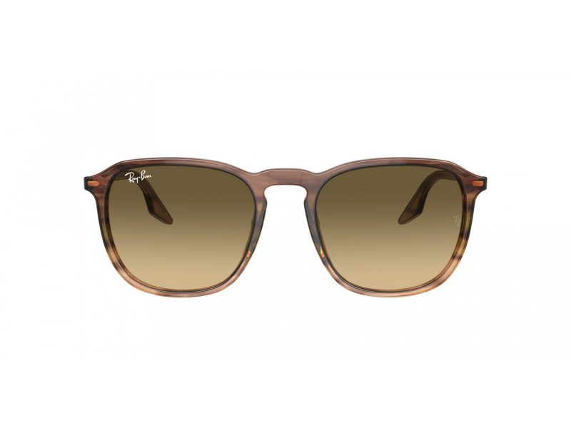 Ray-Ban Aurinkolasit RB 2203 13920A