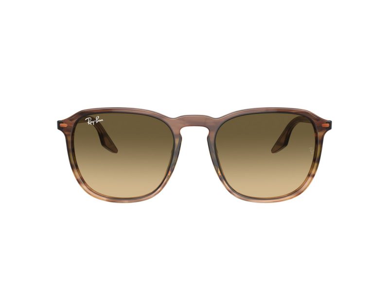 Ray-Ban Aurinkolasit RB 0RB2203 13920A