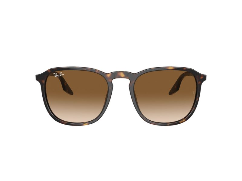 Ray-Ban Aurinkolasit RB 0RB2203 902/51