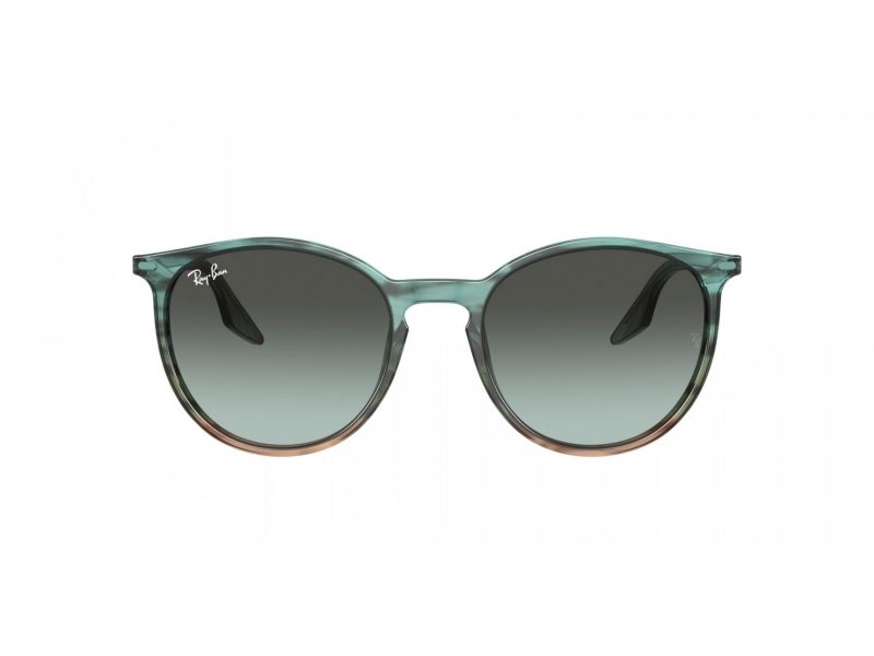 Ray-Ban Aurinkolasit RB 2204 1394GK