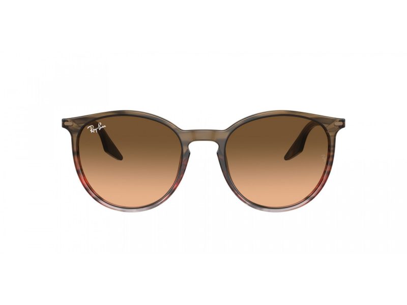 Ray-Ban Aurinkolasit RB 2204 13953B