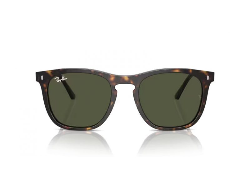 Ray-Ban Aurinkolasit RB 2210 902/31