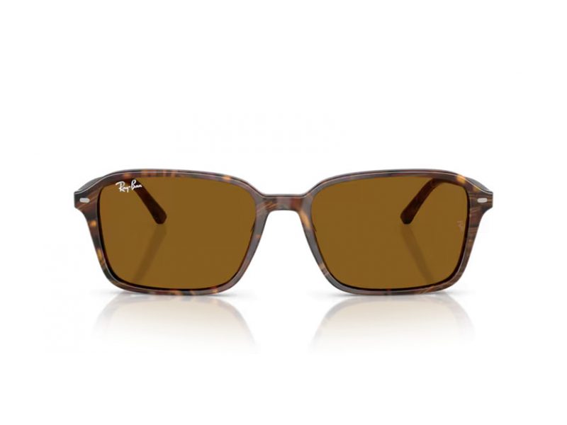 Ray-Ban Raimond Aurinkolasit RB 2231 141833