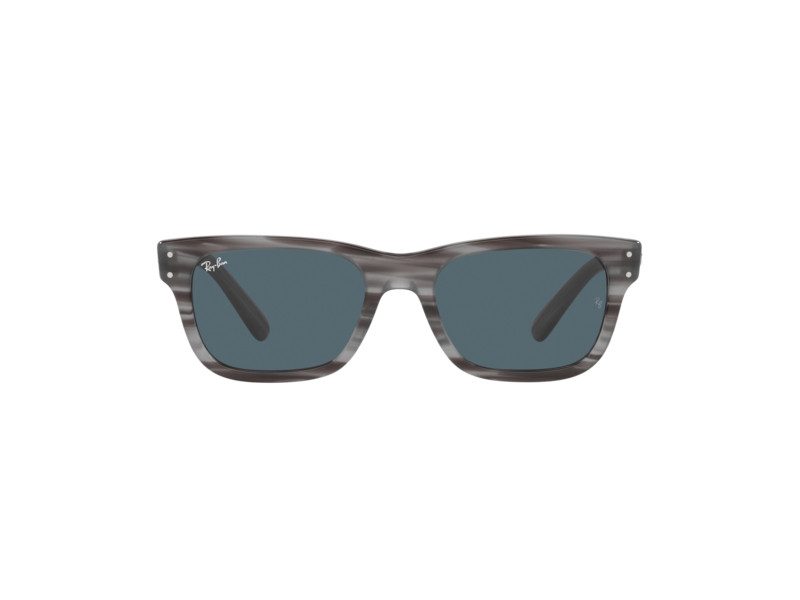 Ray-Ban Mr Burbank Aurinkolasit RB 2283 1314/R5