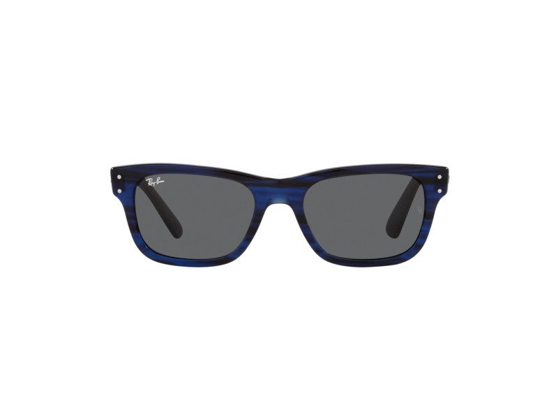 Ray-Ban Mr Burbank Aurinkolasit RB 2283 1339/B1