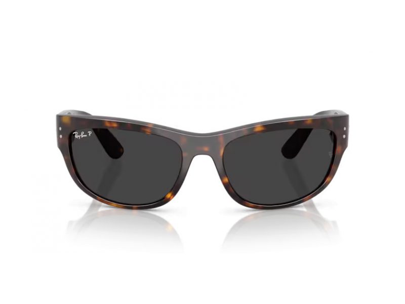 Ray-Ban Mega Balorama Aurinkolasit RB 2289 902/48