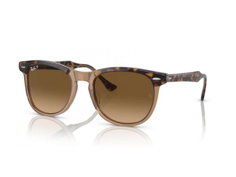 Ray-Ban Eagleeye Aurinkolasit RB 2398 1292M2