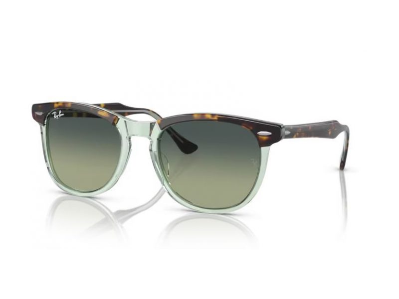 Ray-Ban Eagleeye Aurinkolasit RB 2398 1376BH