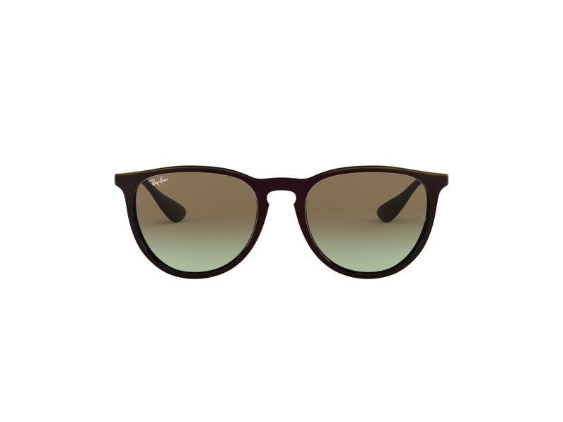 Ray-Ban Erika Aurinkolasit RB 4171 6316/E8