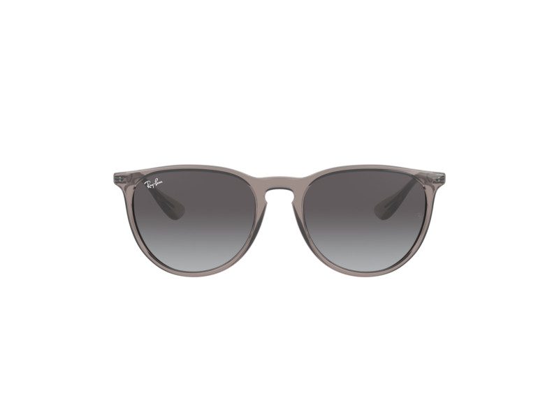 Ray-Ban Erika Aurinkolasit RB 4171 6513/8G