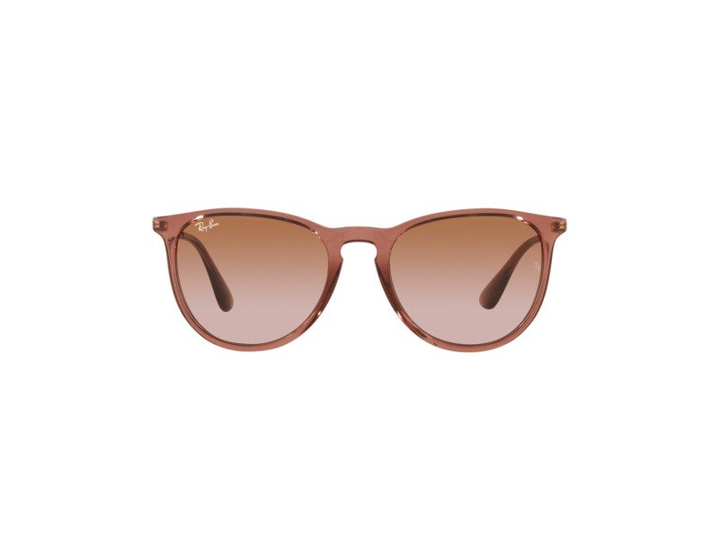 Ray-Ban Erika Aurinkolasit RB 4171 6590/13