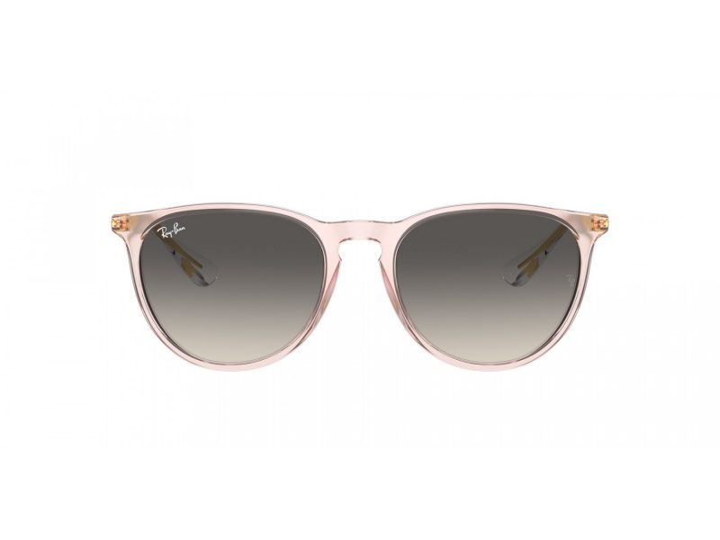 Ray-Ban Erika Aurinkolasit RB 4171 674211