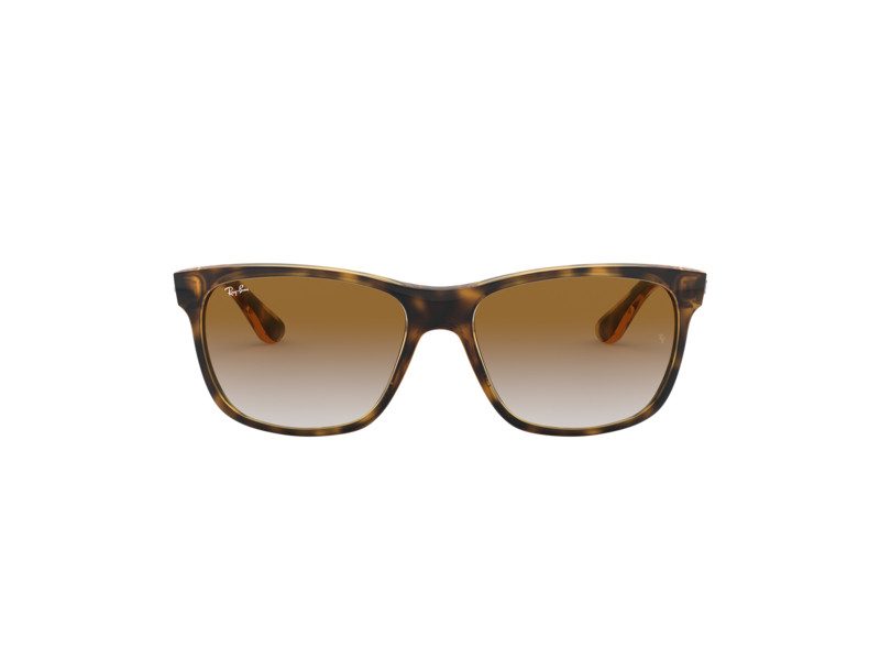 Ray-Ban Rb4181 Aurinkolasit RB 4181 710/51