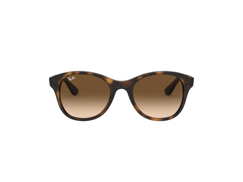 Ray-Ban Aurinkolasit RB 4203 710/13