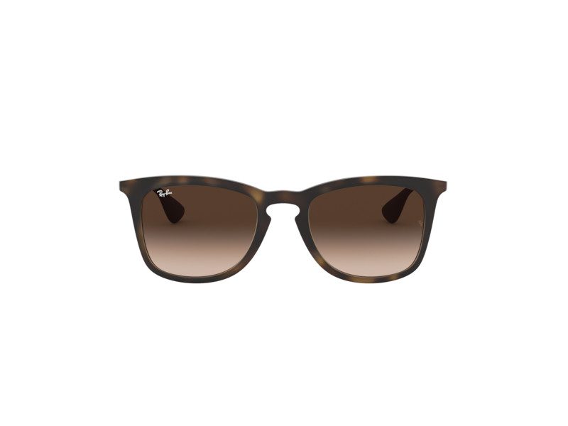 Ray-Ban Aurinkolasit RB 4221 865/13