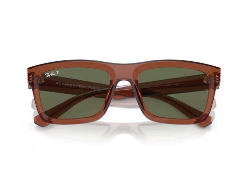 Ray-Ban Warren Aurinkolasit RB 4396 66789A