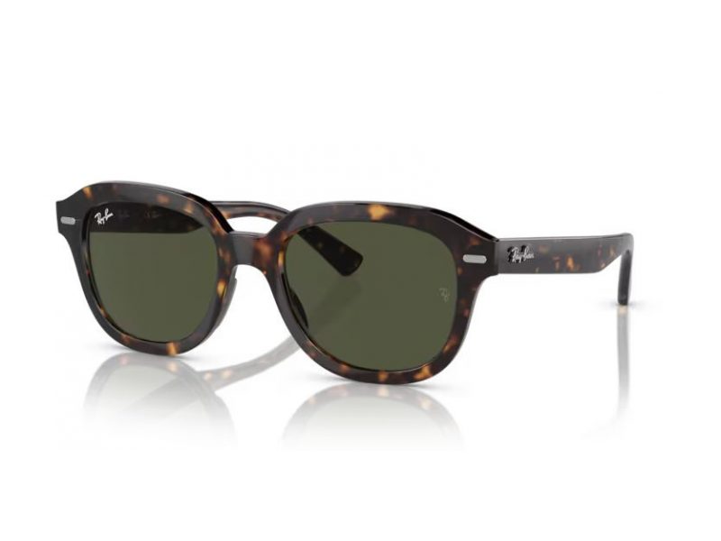 Ray-Ban Erik Aurinkolasit RB 4398 902/31