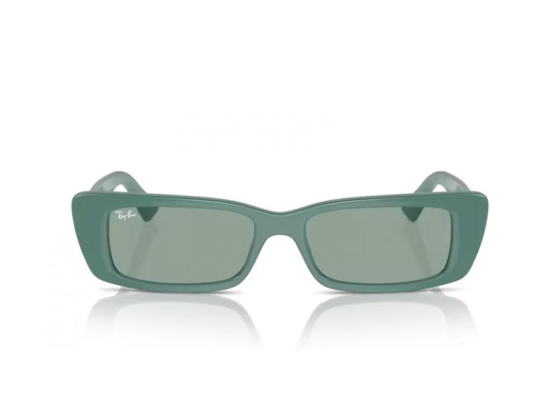 Ray-Ban Teru Aurinkolasit RB 4425 676282