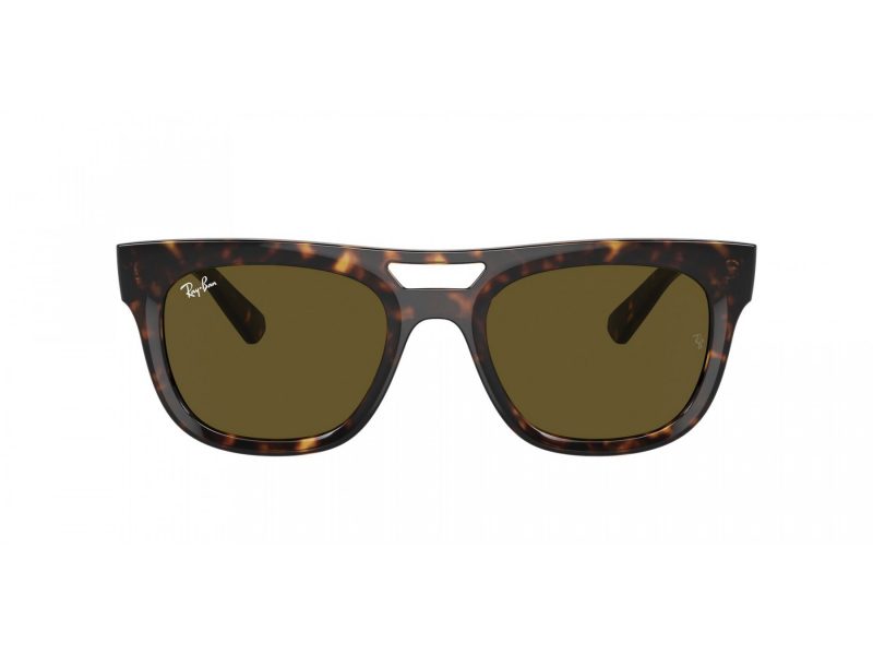 Ray-Ban Phil Aurinkolasit RB 4426 135973