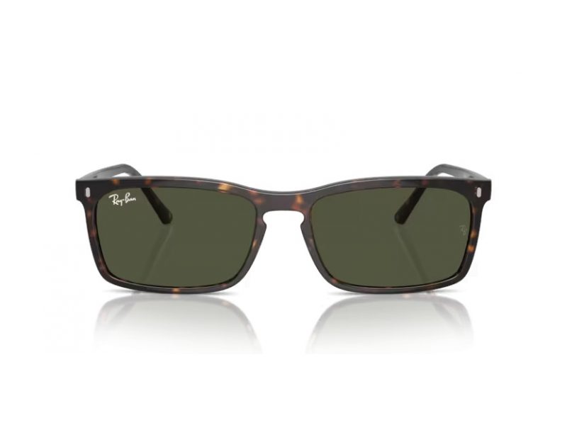 Ray-Ban Aurinkolasit RB 4435 902/31