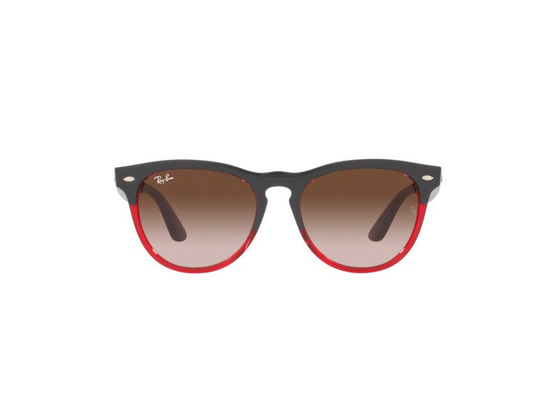 Ray-Ban Iris Aurinkolasit RB 4471 6631/13