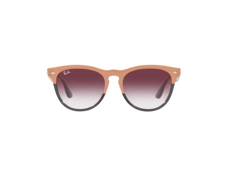 Ray-Ban Iris Aurinkolasit RB 4471 6633/8H