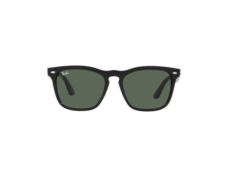 Ray-Ban Steve Aurinkolasit RB 4487 6629/71