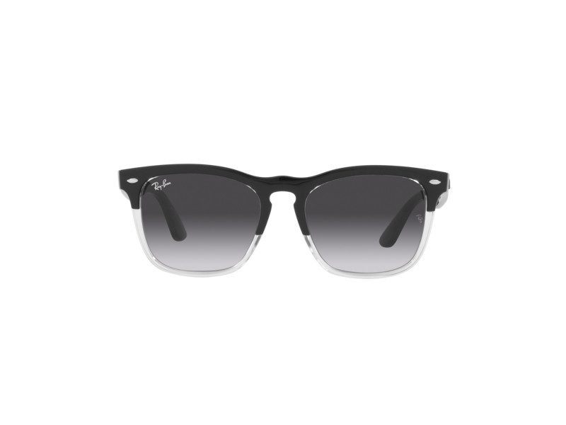 Ray-Ban Steve Aurinkolasit RB 4487 6630/8G