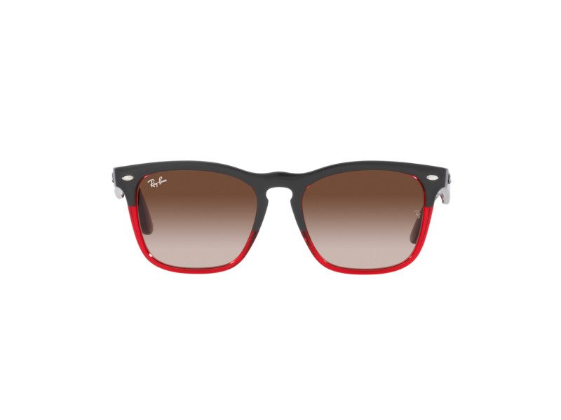 Ray-Ban Steve Aurinkolasit RB 4487 6631/13