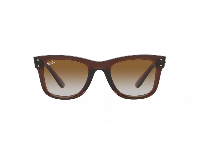 Ray-Ban Wayfarer Reverse Aurinkolasit RB R0502S 6709CB