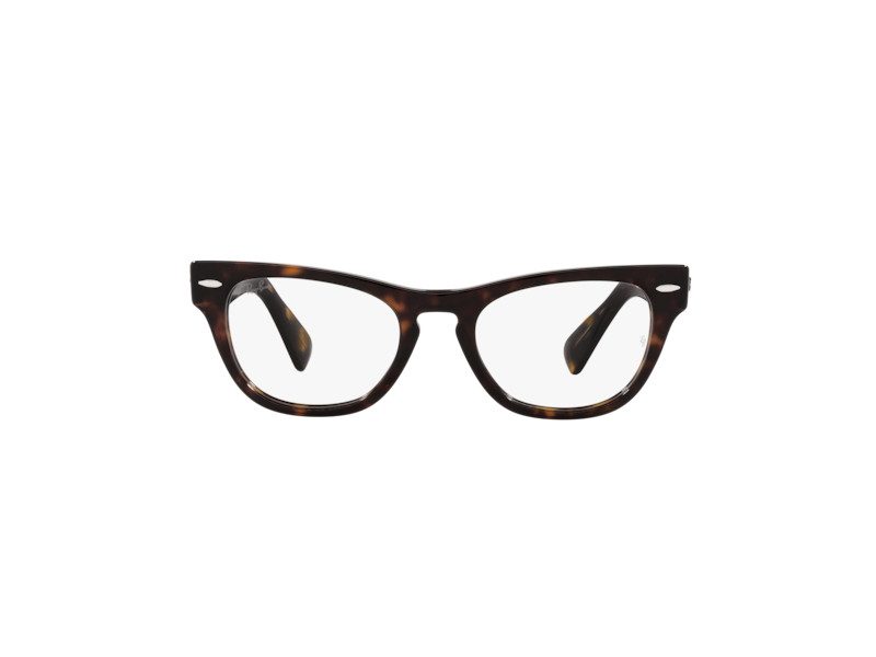 Ray-Ban Laramie Silmalasit RX 2201V 2012